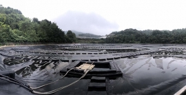 918博天堂(中国区)官方网站